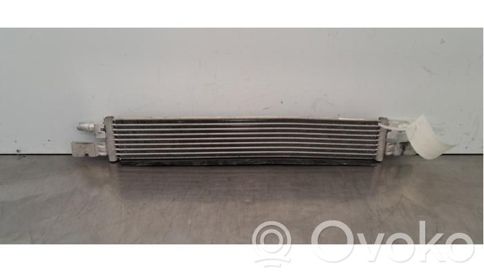 BMW 3 G20 G21 Tepalo filtro laikiklis/ aušintuvas 