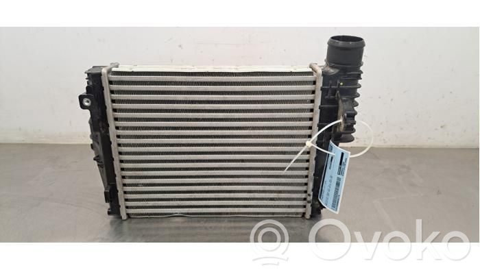 Intercooler radiator   9806562180,P9806562180
