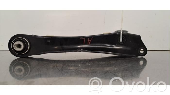 Brazo de suspensión trasero   6871507