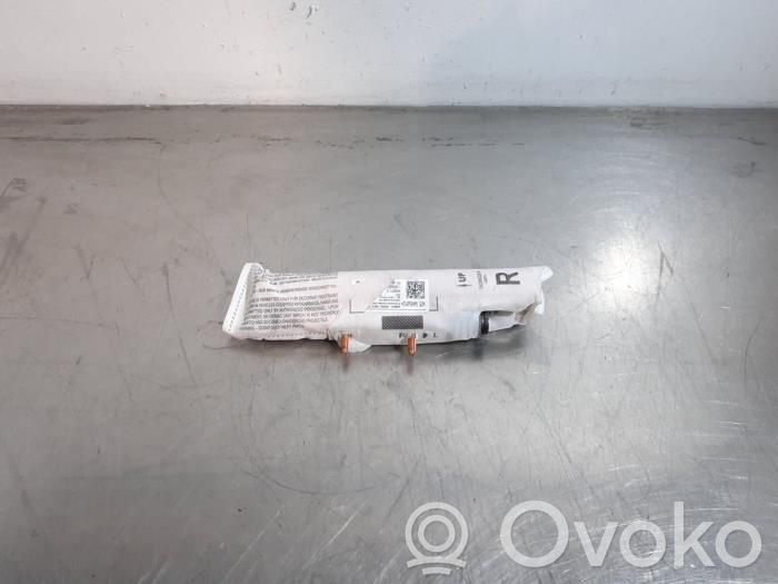 Airbag del asiento   5FA880441D