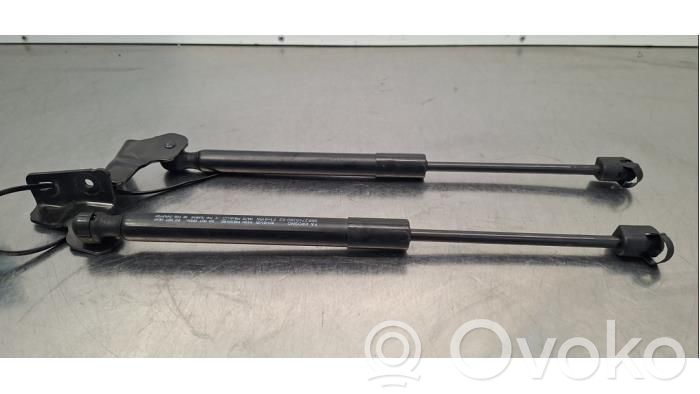 Citroen e-C3 Tailgate/trunk strut/damper 