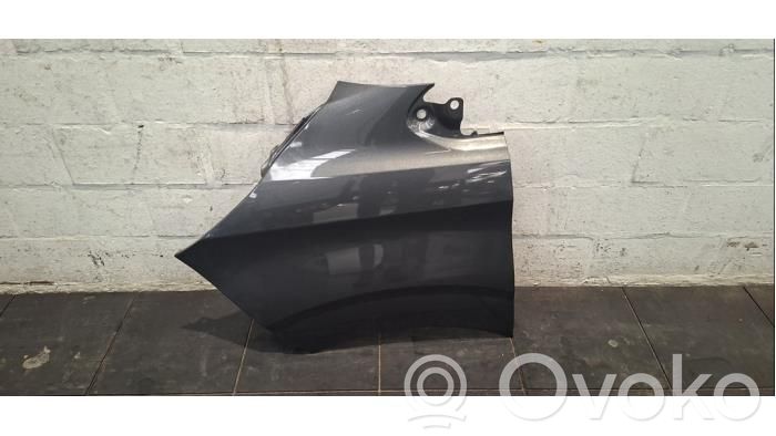 Ford Transit -  Tourneo Connect Guardabarro 
