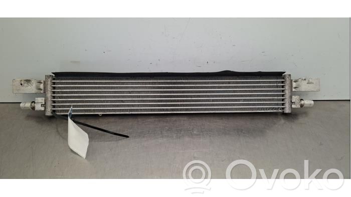 BMW 3 G20 G21 Tepalo filtro laikiklis/ aušintuvas 