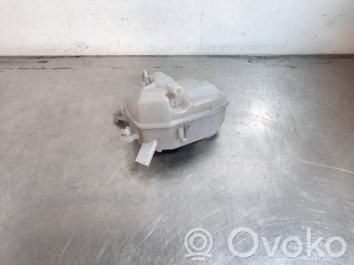 Skoda Scala Serbatoio di compensazione del liquido refrigerante/vaschetta 