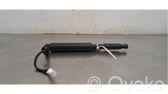 Tesla Model 3 Tailgate strut 