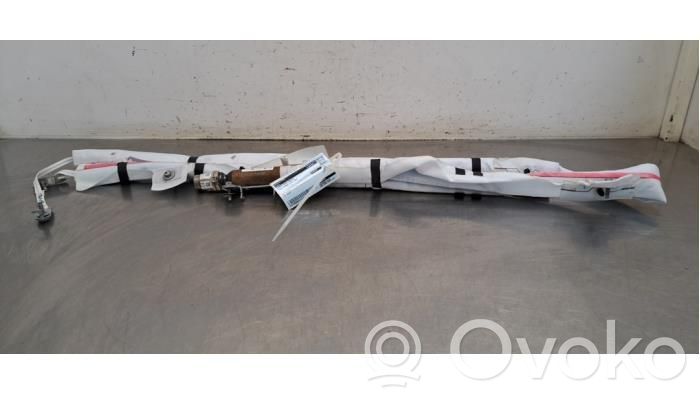 Kopfairbag   1744307CNG,174430700I