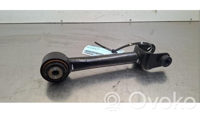 Brazo de suspensión trasero   134443100B