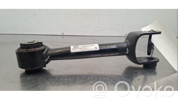 Brazo de suspensión trasero   134443100B