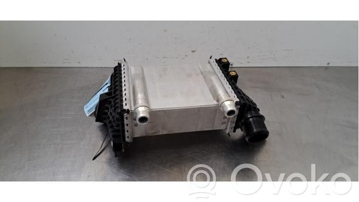 Alfa Romeo Tonale Intercooler radiator 