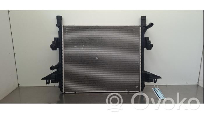 Volkswagen ID.4 Radiator lichid răcire 