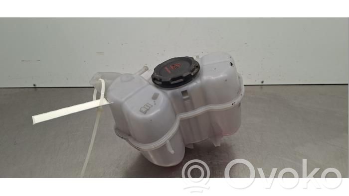 Volkswagen ID.4 Vas expansiune/rezervor lichid de răcire 