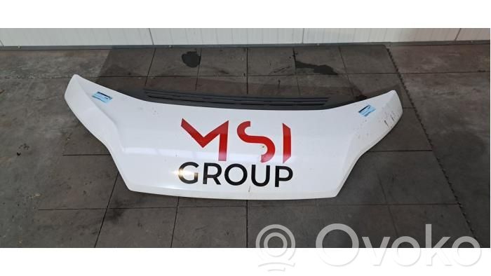Capotă motor   1686620980,1380670080,1612246980,50158078