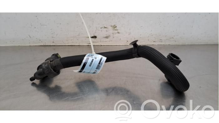 Citroen Berlingo Tubo flessibile del liquido di raffreddamento del motore 