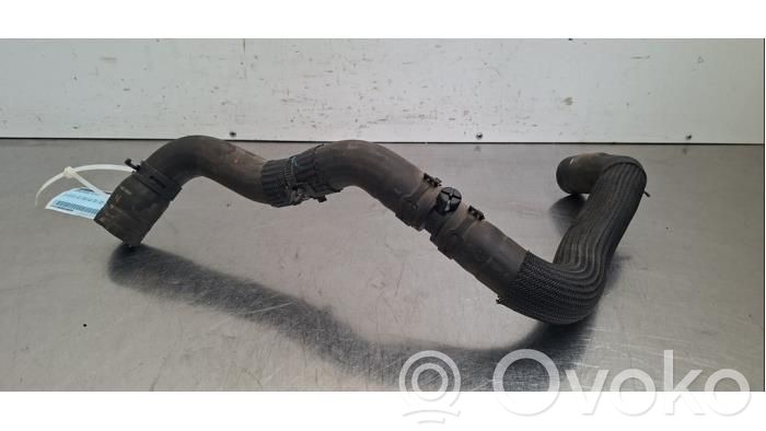 Nissan Micra K14 Przewód / Wąż chłodnicy 