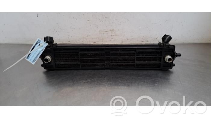 Chłodnica   17117589470,17117586544