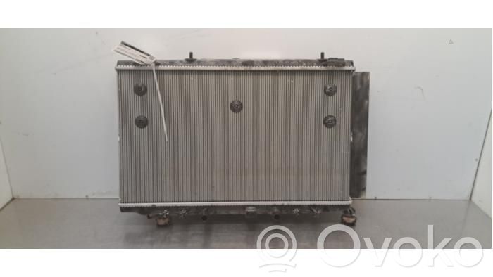 Jeep Avenger Radiatore di raffreddamento