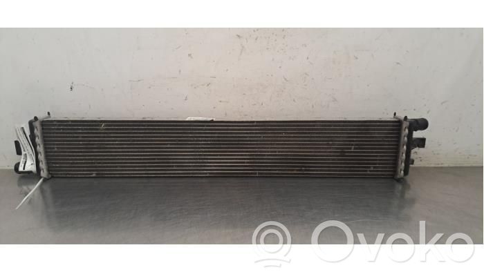 Wasserkühler   214C10001R