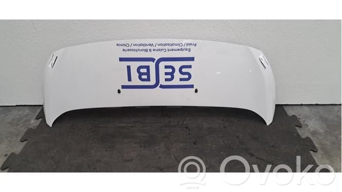 Motorhaube   9811892880