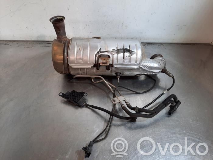 Citroen Berlingo Filtru de particule catalizator/FAP/DPF 
