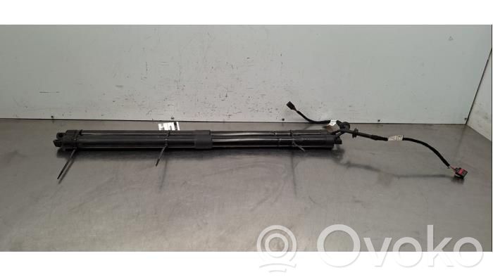 Land Rover Range Rover Sport L494 Amortizor hayon 