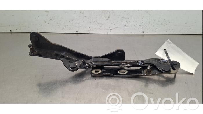 Tesla Model 3 Aizmugurējā pārsega eņģe (-ess)