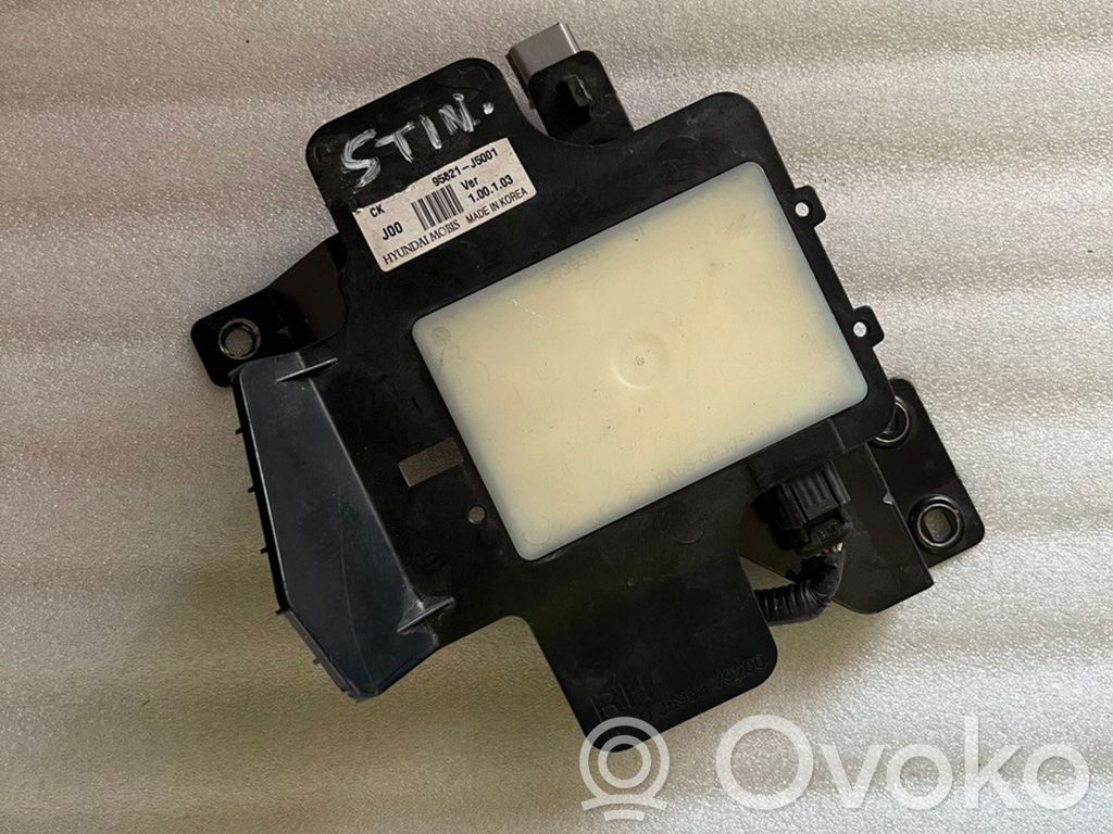 Módulo de control de punto muerto   95821J5001