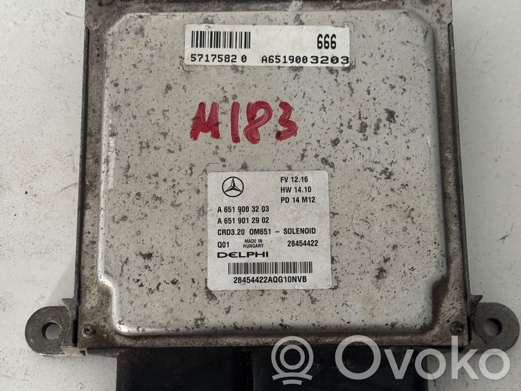 Mercedes-Benz Sprinter W906 Engine control unit/module 