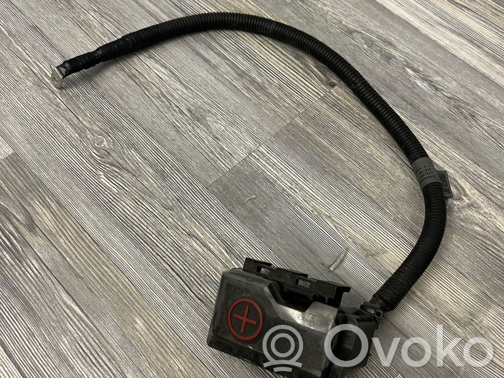 Plusa vads (akumulatora)   91850CV010