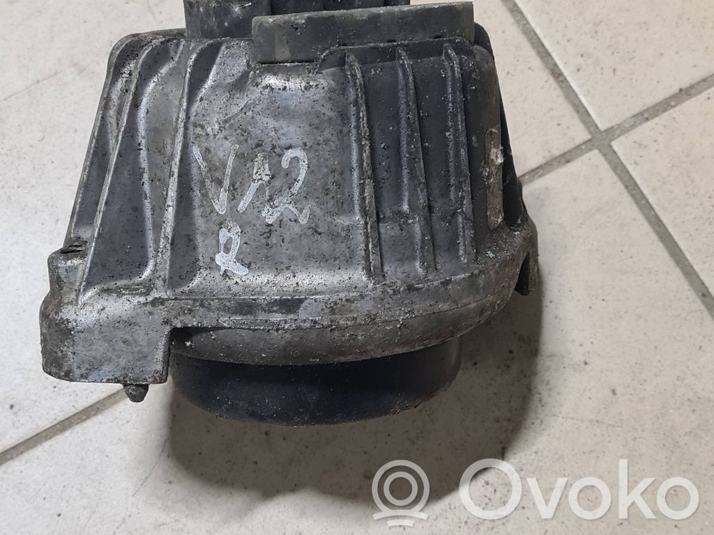 Dzinēja spilvens   6768800,22116768800