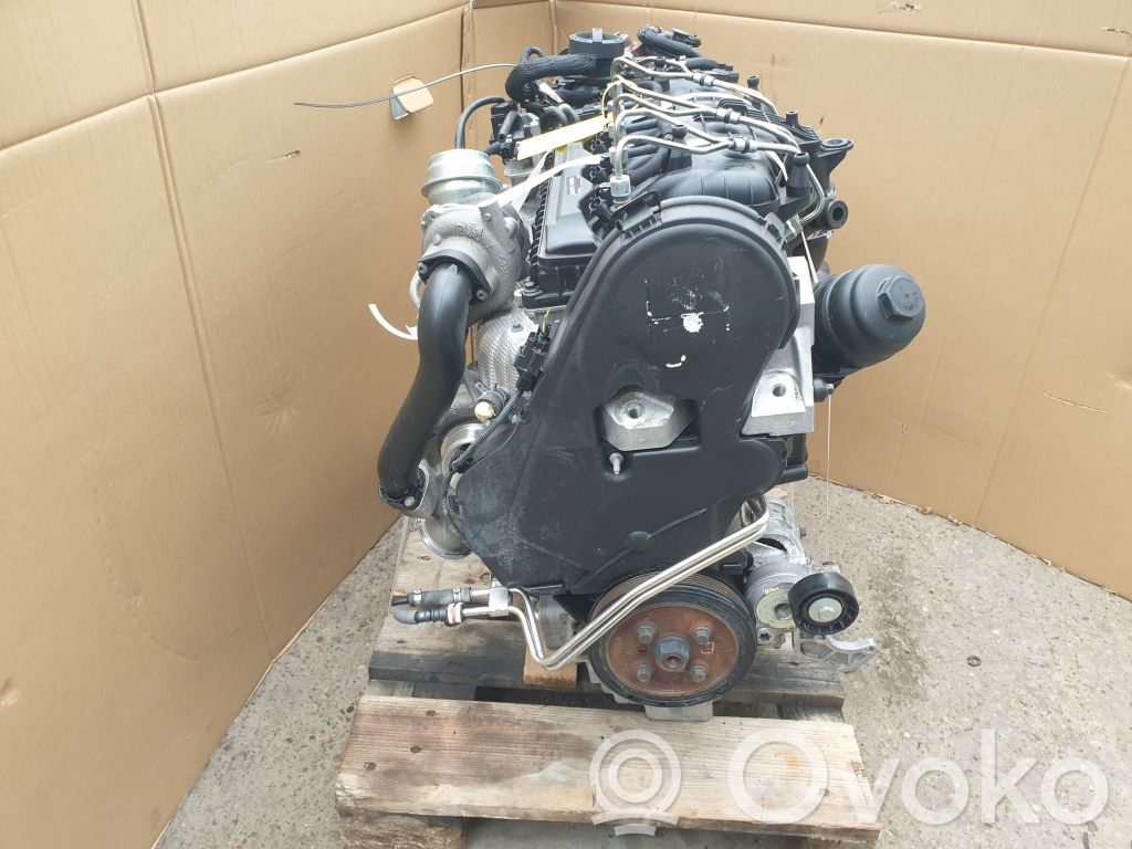 Variklis   D5244T12