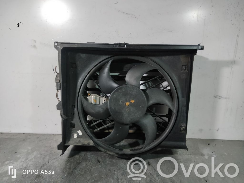 Elektrinis radiatorių ventiliatorius   3136613245