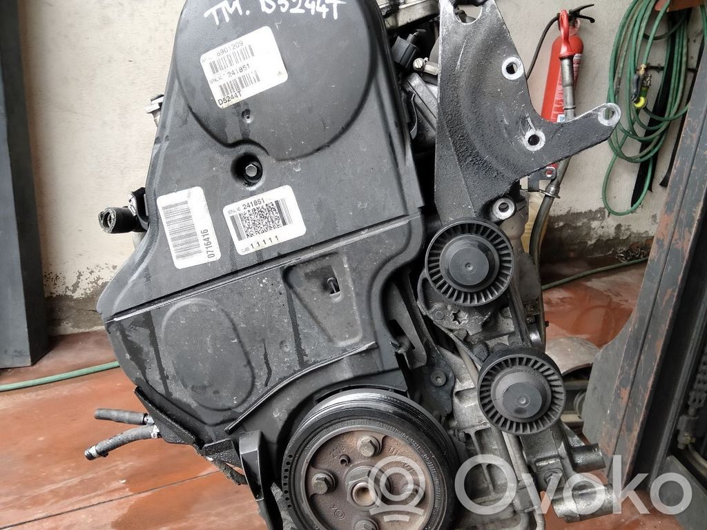 Variklis   D5244T