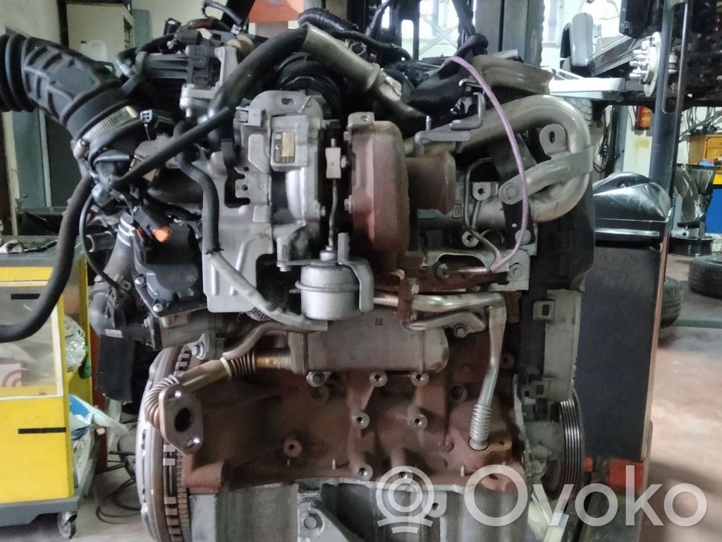 Engine   K9K646