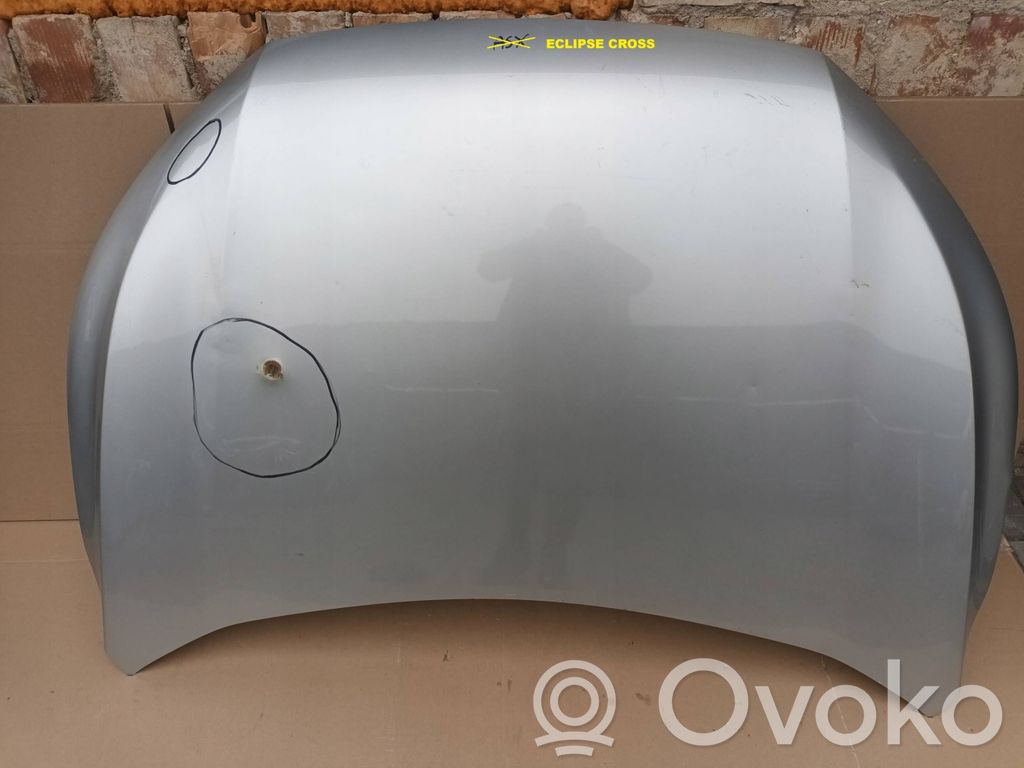 Motorhaube