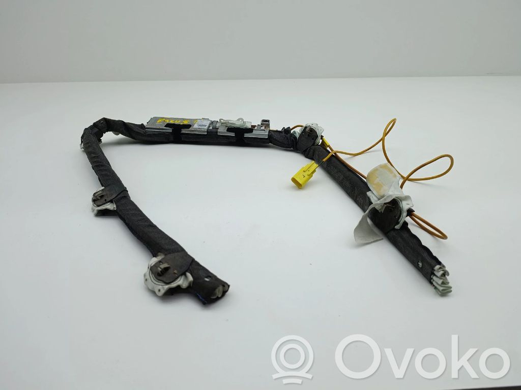 Ford Focus Airbag del techo 