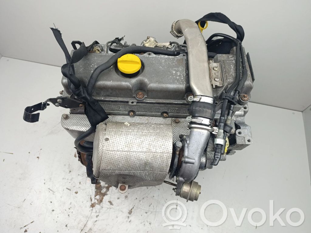 Variklis   D223L