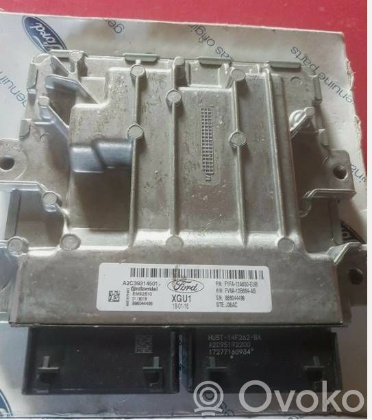 Unidad de control/módulo del motor   A2C39314501,AU5T14F262BA,A2C95192200,F1FA12A650EUB