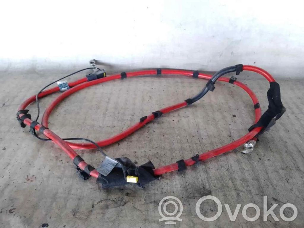 Akumuliatorius   0762239030