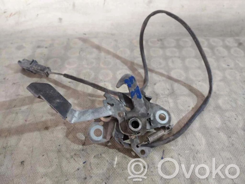 Tie down hook / loop   793468