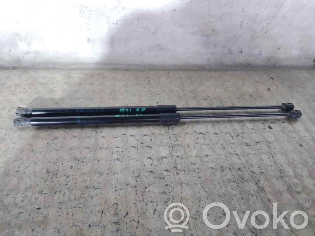 Tailgate/trunk strut/damper   39089133