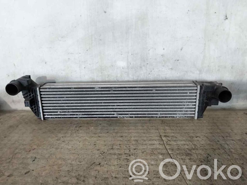 Intercooler radiator   8200301883B