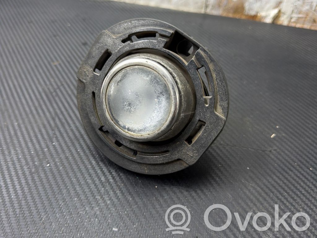 Dodge Challenger Front fog light 