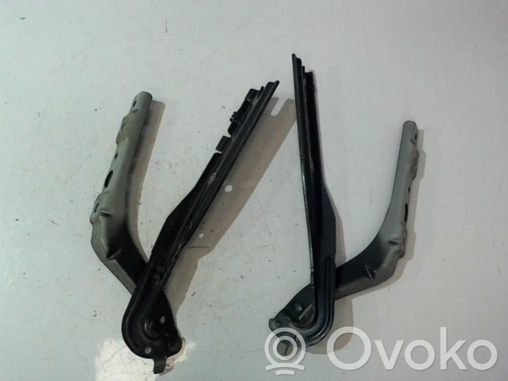 Peugeot 407 Dzinēja pārsega eņģe (-es) 