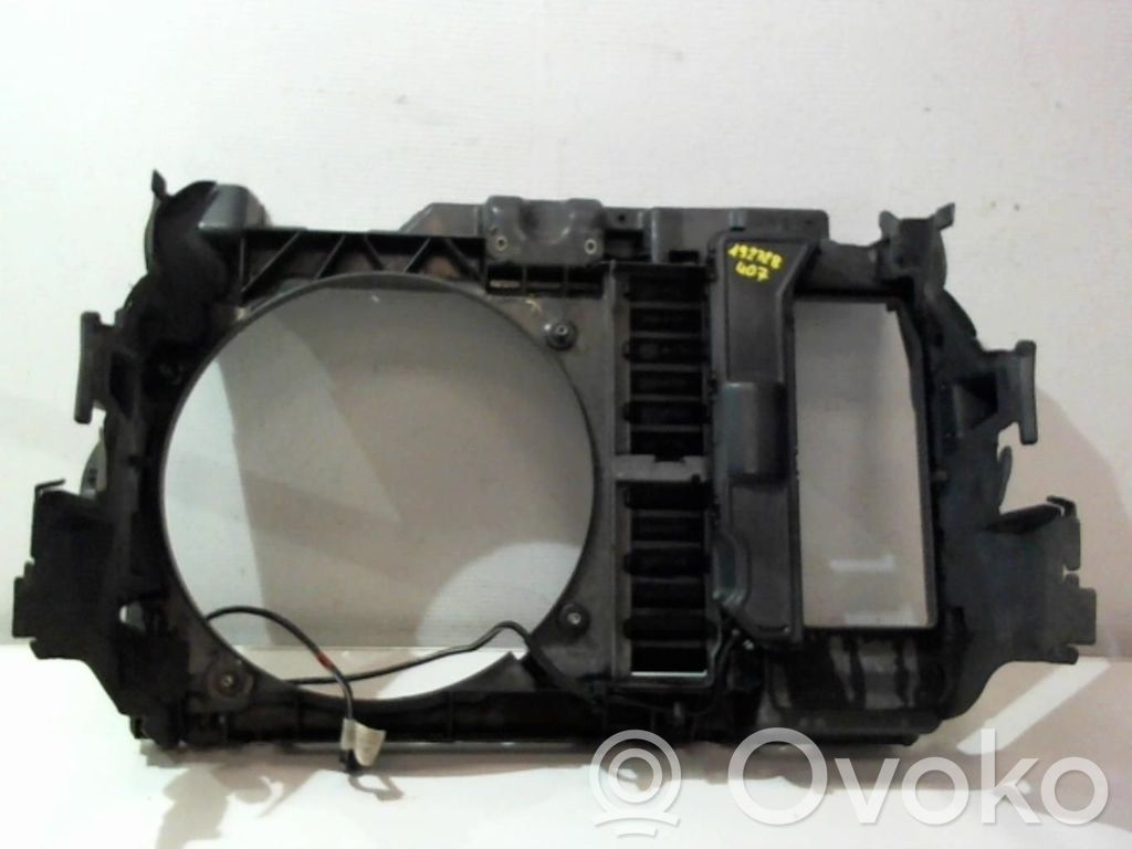 Peugeot 407 Radiatorių panelė 