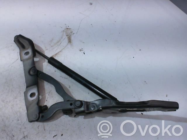 BMW 1 E82 E88 Tailgate/trunk/boot hinge 