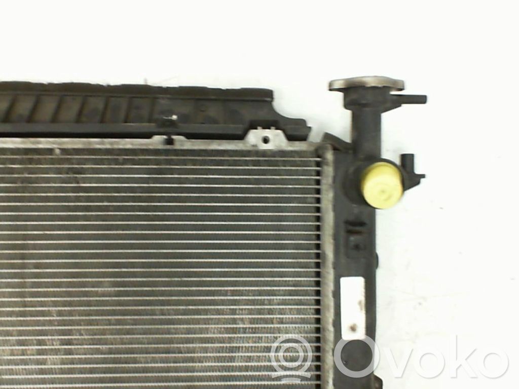 Chłodnica   253102P100