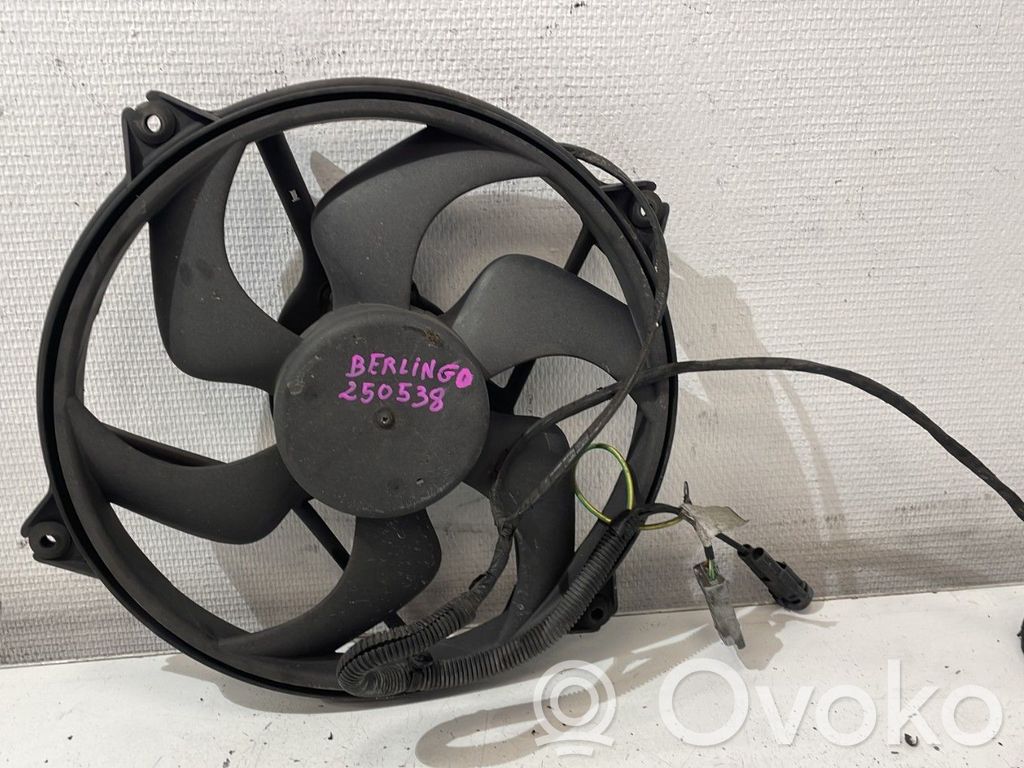 Citroen Berlingo Electric radiator cooling fan 