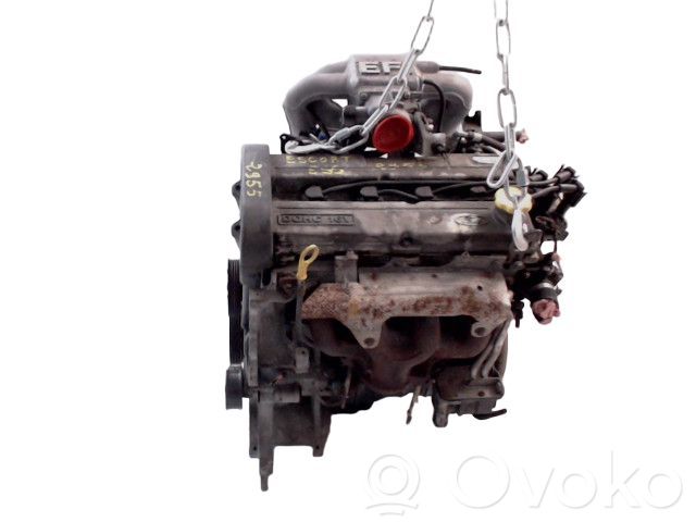 Ford Orion Variklis 