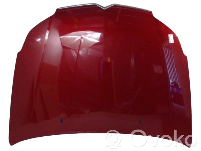 Citroen C5 Vano motore/cofano 
