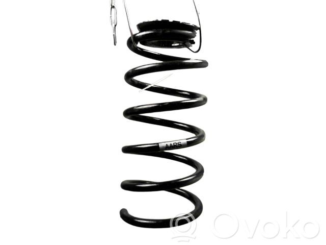 Rear coil spring   13433131,13433131,994873